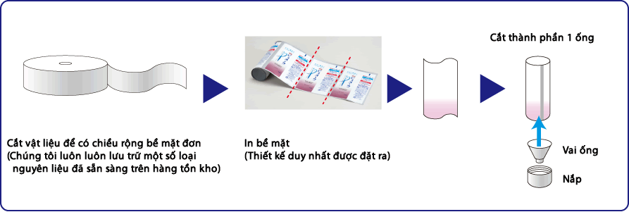 Kiểm tra, đóng gói và vận chuyển